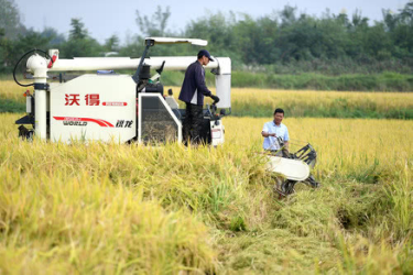 新华时评：长久不变，是为了变得更好